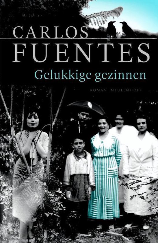 Alle gelukkige gezinnen - Carlos Fuentes | Highergroundnb.org