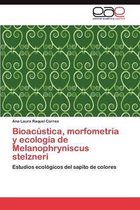 Bioacustica, Morfometria y Ecologia de Melanophryniscus Stelzneri