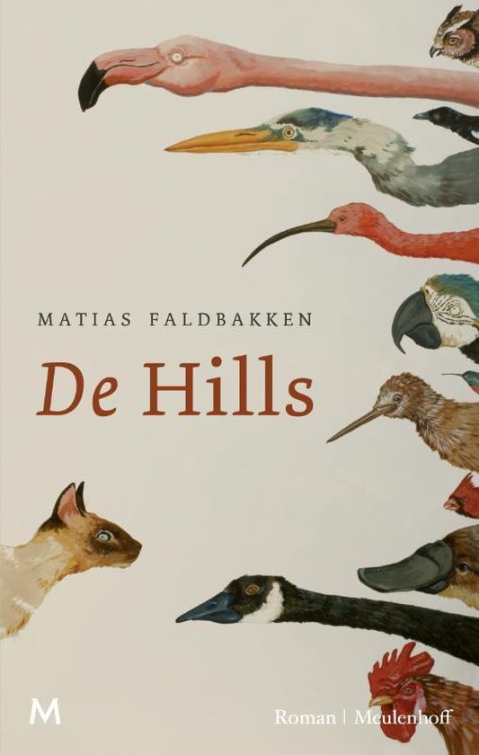 De Hills - Matias Faldbakken | Northernlights300.org
