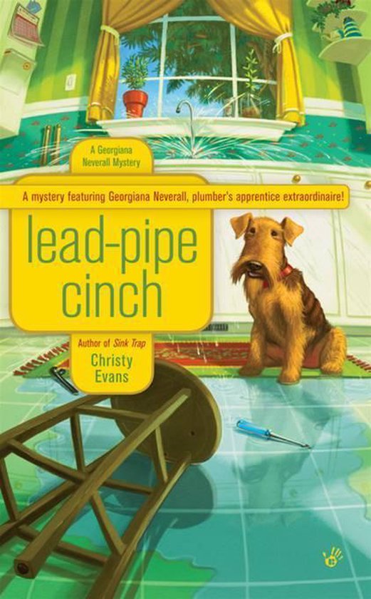 LeadPipe Cinch (ebook), Christy Evans 9781101186398 Boeken