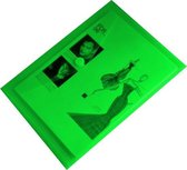 EXXO-HFP # 90136 - Porte-documents A4 - Modèle paysage - Velcro - Vert - 150 pièces (15 paquets @ 10 pièces)