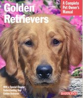 Golden Retrievers