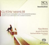 Mahler: Liederzyklen In Bearbeitung