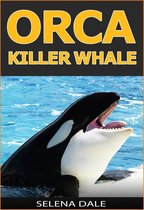 Weird & Wonderful Animals - Orca - Killer Whale