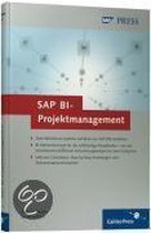 SAP BI-Projektmanagement