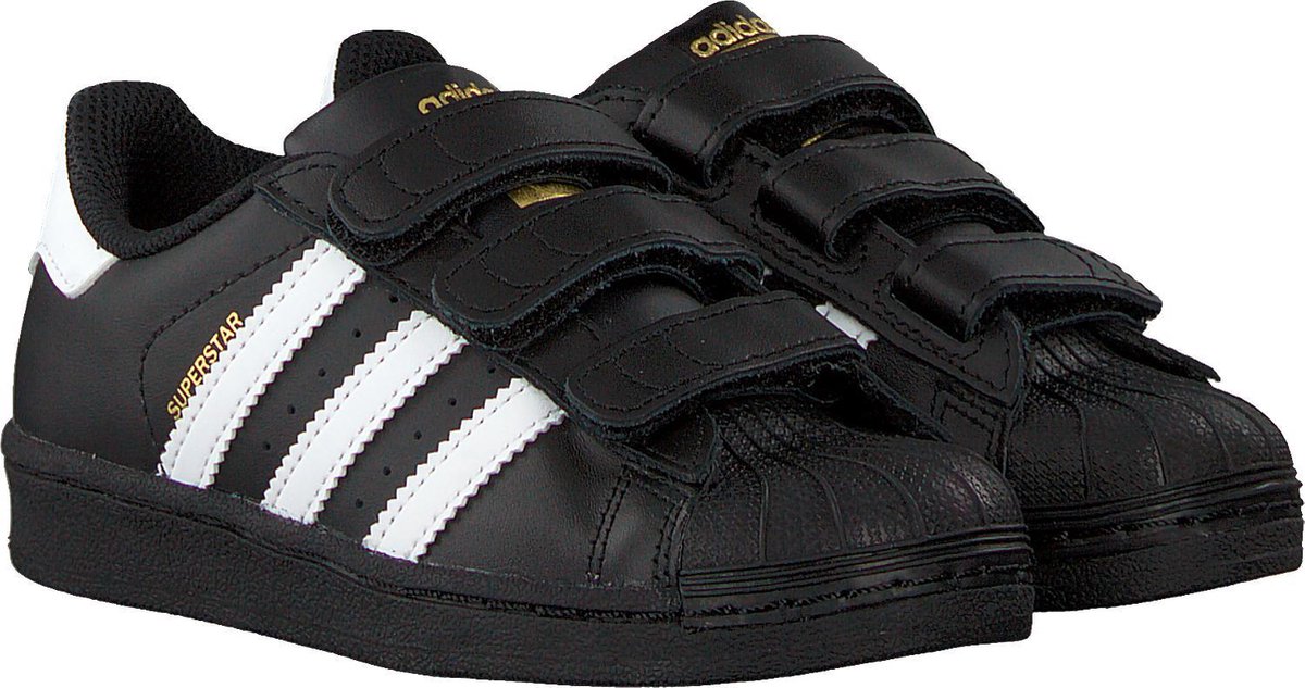 superstar clr heren abrikoos