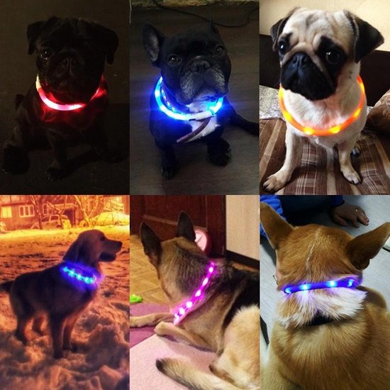 LED Honden halsband - Rood - 20 - 70 cm - USB Oplaadbaar | bol.com