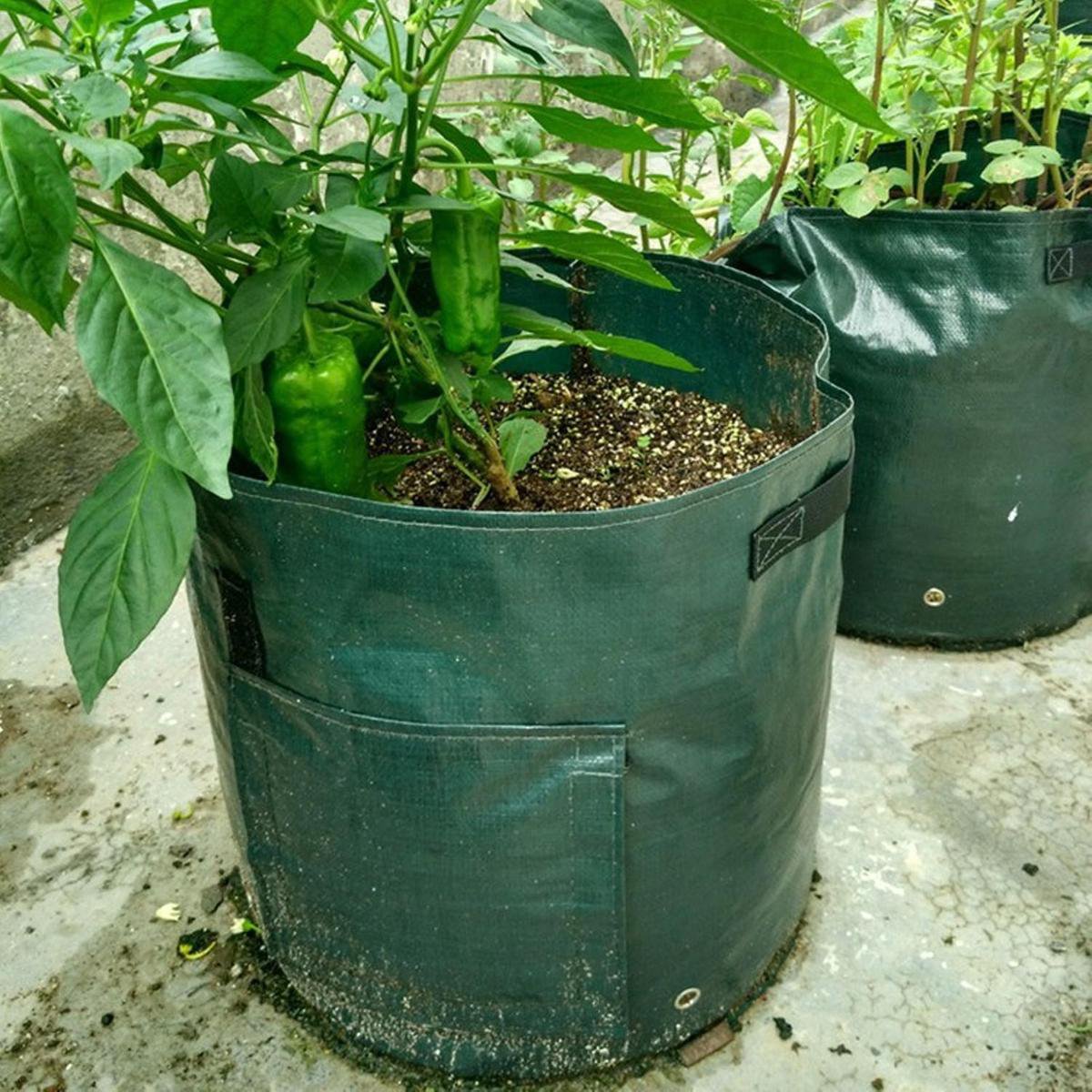 SIMBOOM Aardappelkweekzakken 4 stuks 10 gallon, kweekzakken voor