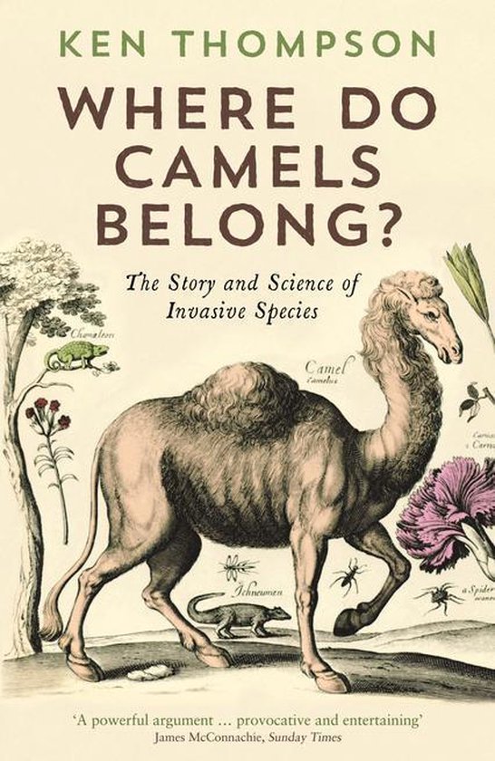 Where Do Camels Belong? - cover