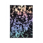 Daido Moriyama: Ango (English Edition)