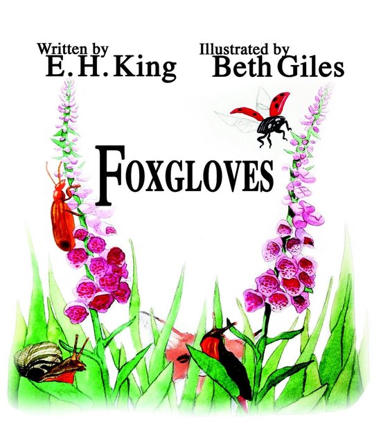 The Meadow Flowers Series - Foxgloves - cover