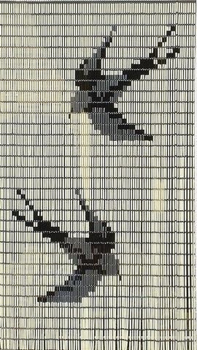 Vliegengordijn - deurgordijn - hulzen - Zwaluw - 90x210cm