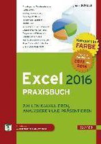 Excel 2016 Praxisbuch