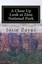 A Close Up Look at Zion National Park