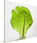 PDP.ProductImage.Thumb.Image.srtText 11