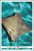 15-Minute Books - Meet the Ray: A 15-Minute Book for Early Readers