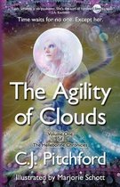 The Agility of Clouds