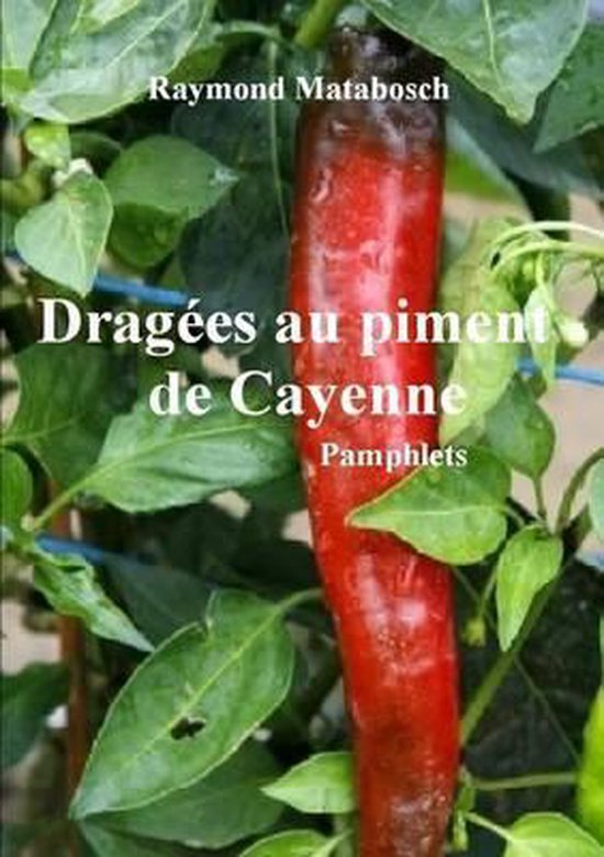 Piment de Cayenne rouge sur une plante aux feuilles vertes. Texte : Raymond Matabosch, Dragees au piment de Cayenne, Pamphlets.