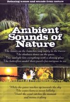 Ambient Sounds Of Nature