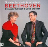 Elizabeth Wallfisch & David Breitman - Sonatas For Violin & Fortepiano V (2 CD)