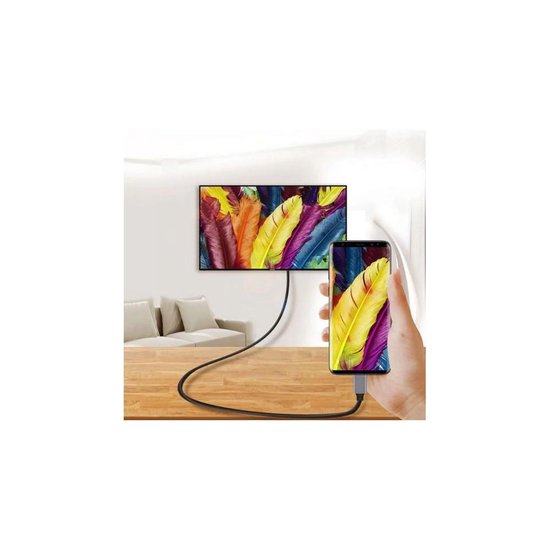 Un smartphone affichant une image de plume colorée, connecté via un câble à une grande télévision affichant la même image.
