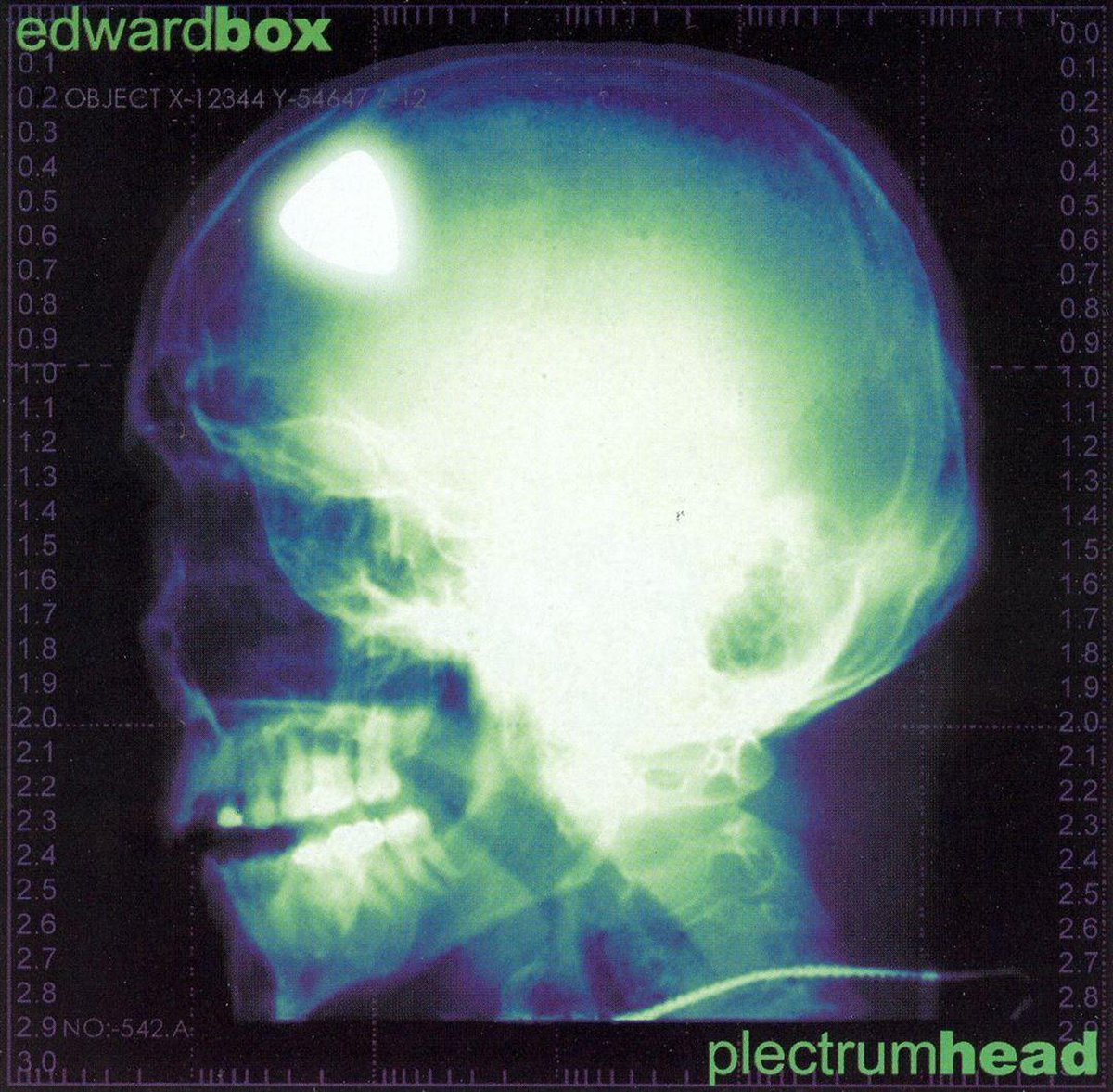Plectrumhead