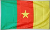 Kameroen Vlag - Kameroense Flag Cameroon - Tricolore 90 x 150 cm