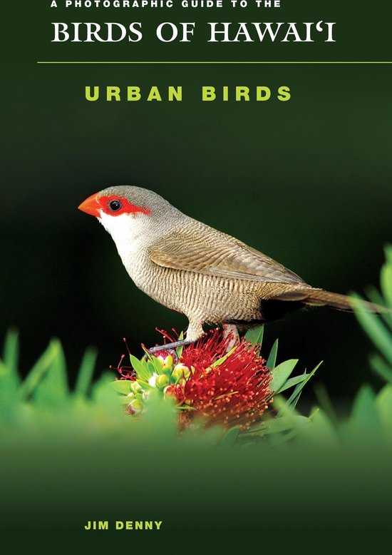 A Photographic Guide to the Birds of Hawaii Urban Birds