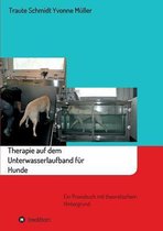 Therapie Auf Dem Unterwasserlaufband Fur Hunde