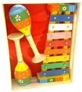 Playwood Muziekkist xylofoon en sambabalen
