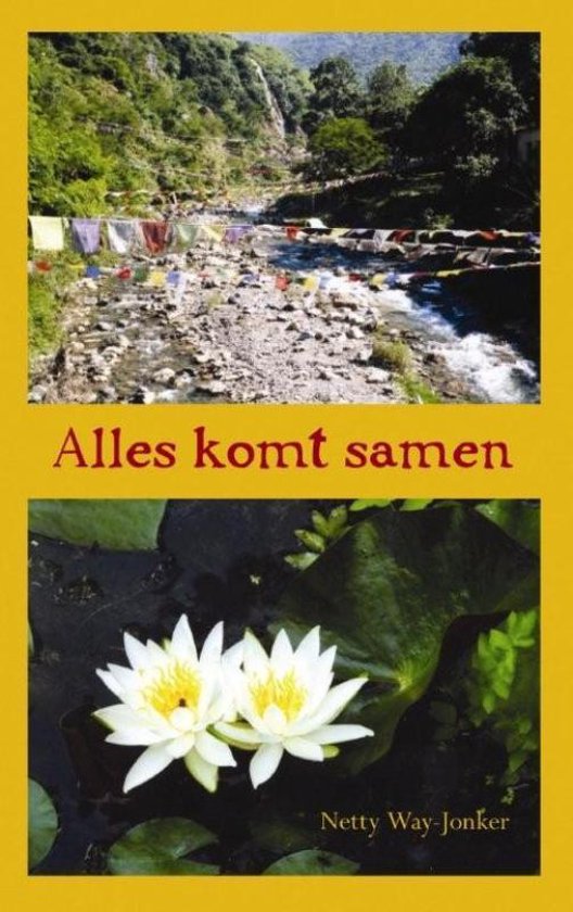 Cover van het boek 'Alles komt samen' van Netty Way-Jonker