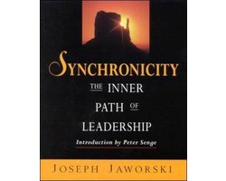 Omslag van Synchronicity