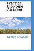 Practical Blowpipe Assaying