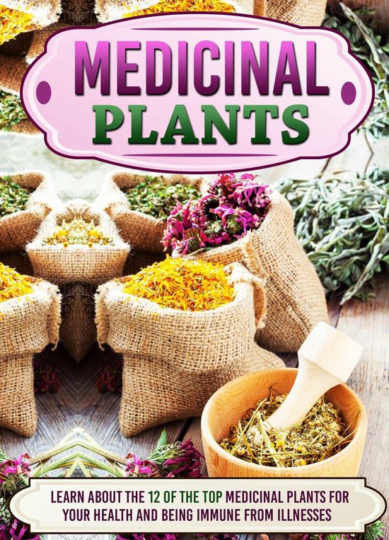 Medicinal Plants Learn About The 12 Of The Top Medicinal Plants For