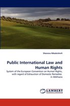 Public International Law and Human Rights