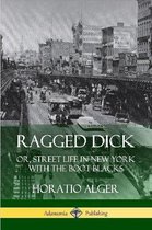 Ragged Dick