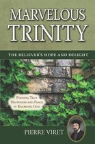 Marvelous Trinity, the Believer's Hope and Delight