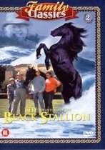Adventures Of The Black Stallion 2