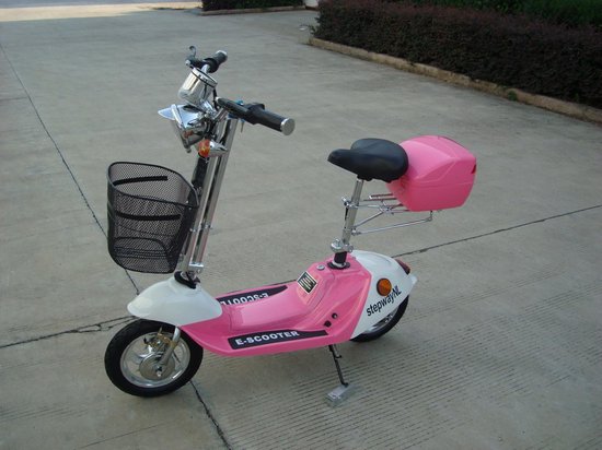 Elektrische mini scooter StepwayNL | bol.com