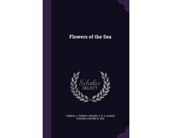 Flowers of the Sea