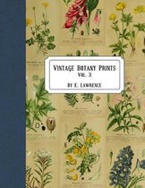 Vintage Botany Prints