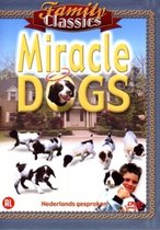 Miracle Dogs