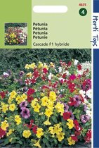 Hortitops - Petunia Pendula Bloemzaad - Cascade - Gemengd