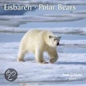 Eisbären 2011. Trends & Classics Kalender