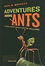 Adventures Among Ants