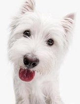 West Highland White Terrier Notebook