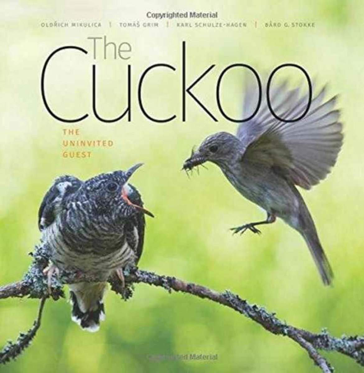 Cuckoo - Oldrich Mikulica