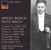 Adolf Busch Plays Bach