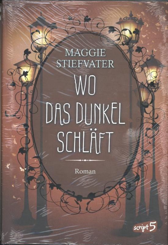 Wo das Dunkel schläft - cover