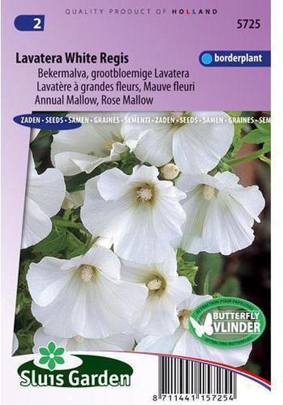 Sluis Garden - Lavatera White Regis (Bekermalva)